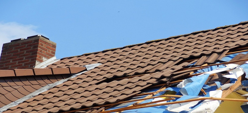 Roof Safety Harness 