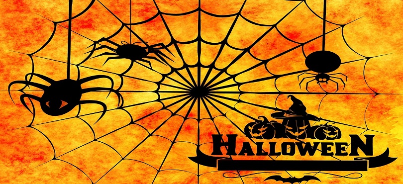 Halloween Spiders