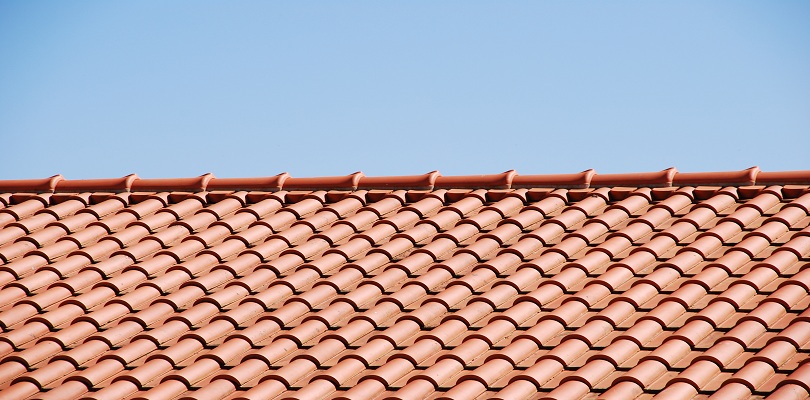 Roof Care Tips