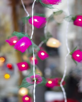 Christmas Lights on Roof