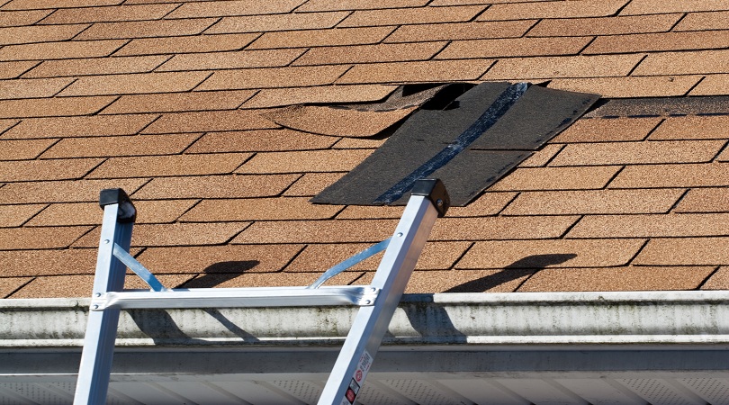 Roof Maintenance Tips