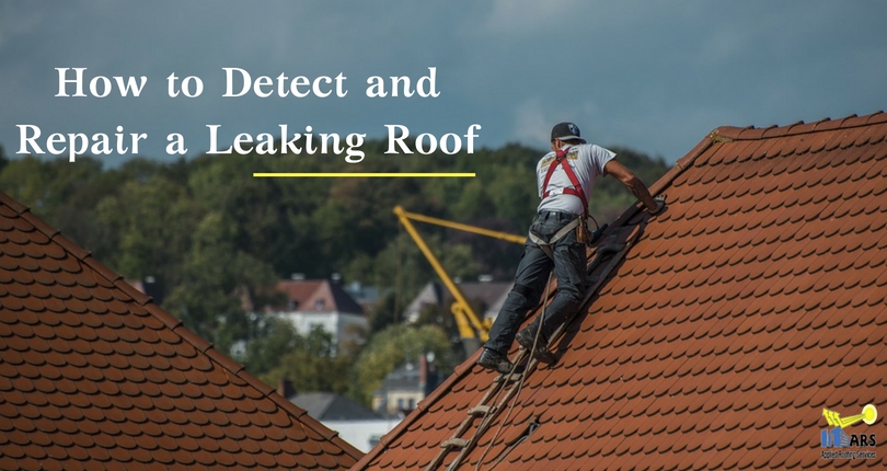 Repair a Leaking Roof