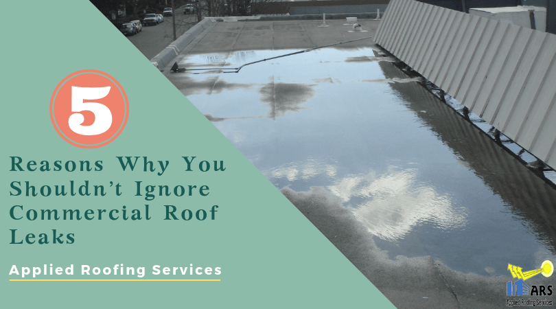 Commercial Roof Leaks