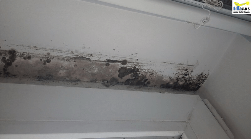 Brown Spots On Ceiling Common Causes