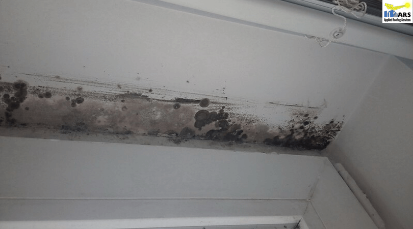 Brown Spots on Ceiling